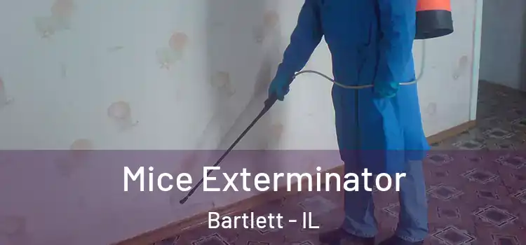 Mice Exterminator Bartlett - IL