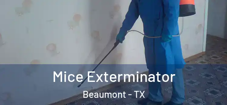 Mice Exterminator Beaumont - TX