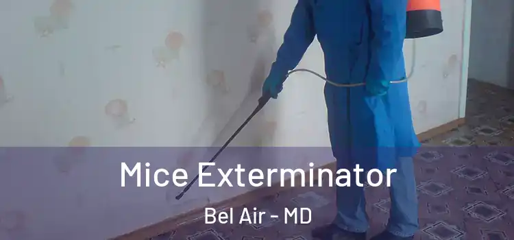  Mice Exterminator Bel Air - MD