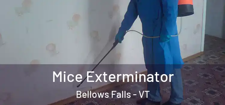  Mice Exterminator Bellows Falls - VT