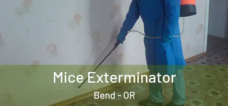 Mice Exterminator Bend - OR