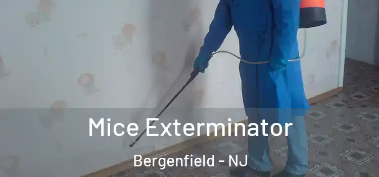 Mice Exterminator Bergenfield - NJ
