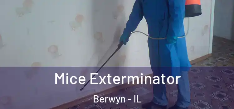 Mice Exterminator Berwyn - IL