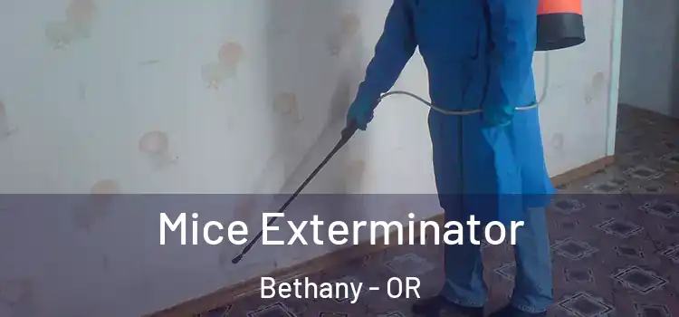  Mice Exterminator Bethany - OR