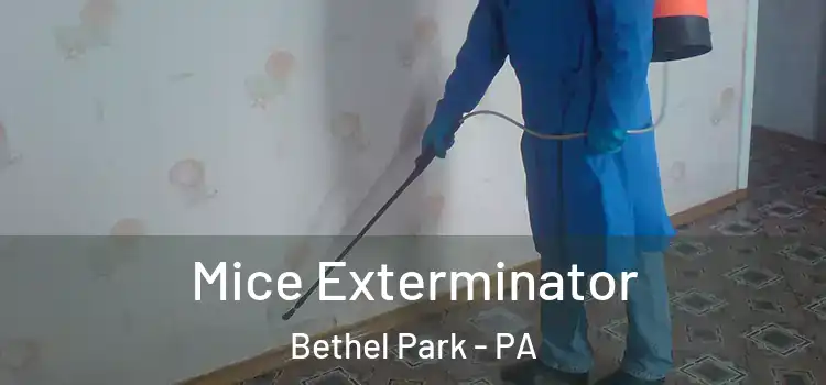  Mice Exterminator Bethel Park - PA