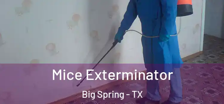 Mice Exterminator Big Spring - TX