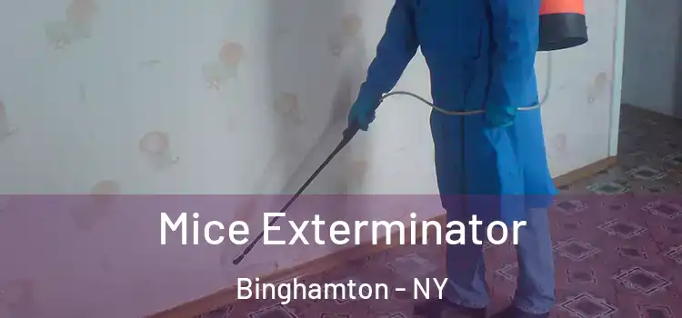  Mice Exterminator Binghamton - NY