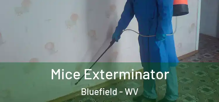  Mice Exterminator Bluefield - WV