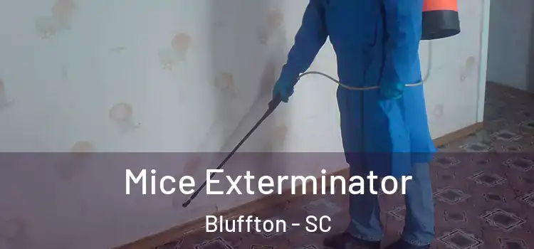 Mice Exterminator Bluffton - SC
