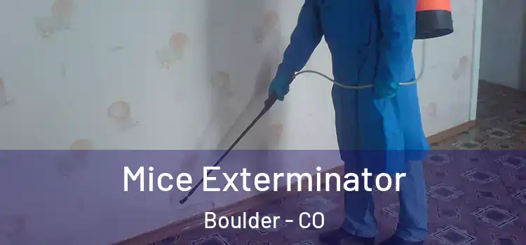 Mice Exterminator Boulder - CO