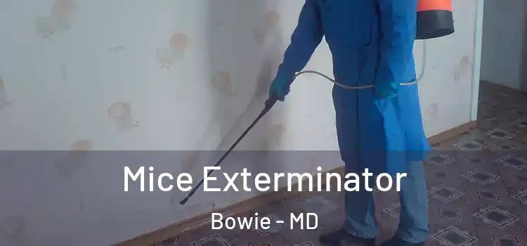 Mice Exterminator Bowie - MD