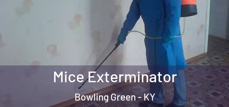 Mice Exterminator Bowling Green - KY