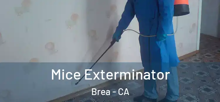  Mice Exterminator Brea - CA