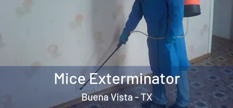  Mice Exterminator Buena Vista - TX