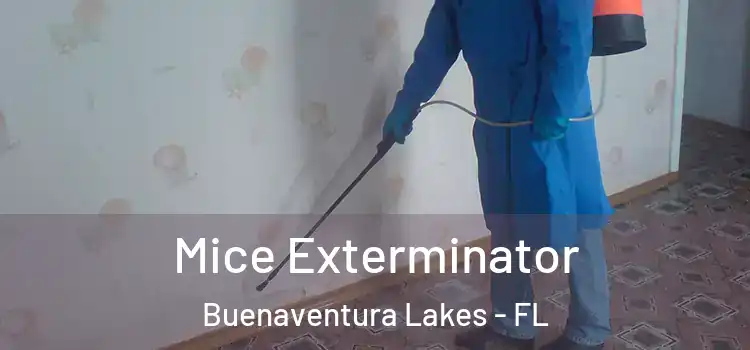 Mice Exterminator Buenaventura Lakes - FL