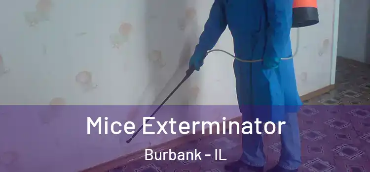 Mice Exterminator Burbank - IL