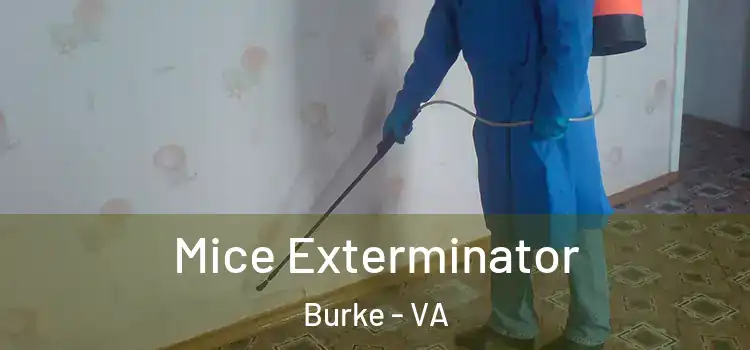 Mice Exterminator Burke - VA