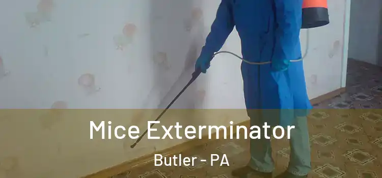  Mice Exterminator Butler - PA