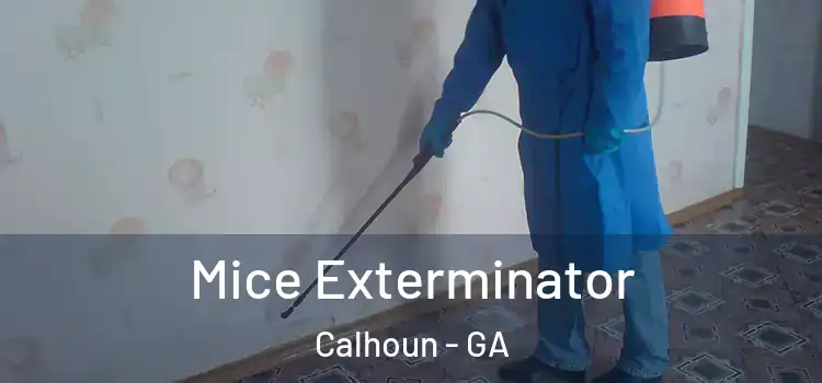  Mice Exterminator Calhoun - GA