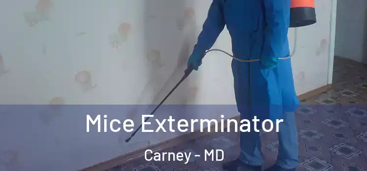 Mice Exterminator Carney - MD