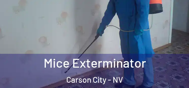  Mice Exterminator Carson City - NV