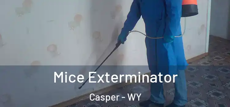 Mice Exterminator Casper - WY