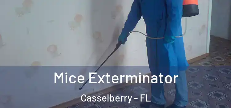 Mice Exterminator Casselberry - FL