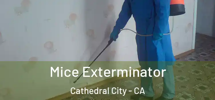  Mice Exterminator Cathedral City - CA
