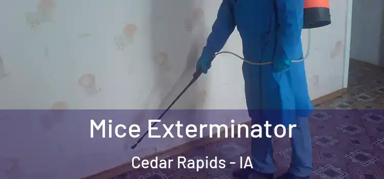 Mice Exterminator Cedar Rapids - IA
