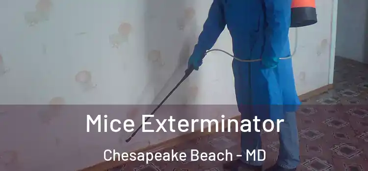  Mice Exterminator Chesapeake Beach - MD