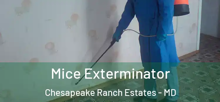 Mice Exterminator Chesapeake Ranch Estates - MD