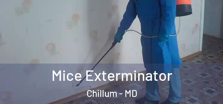  Mice Exterminator Chillum - MD
