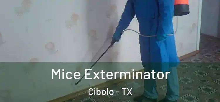  Mice Exterminator Cibolo - TX