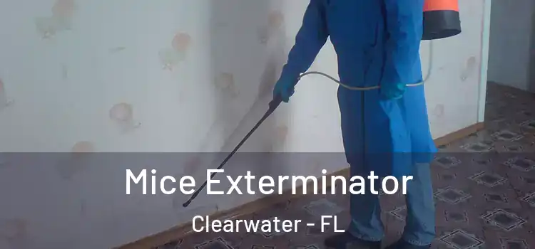  Mice Exterminator Clearwater - FL