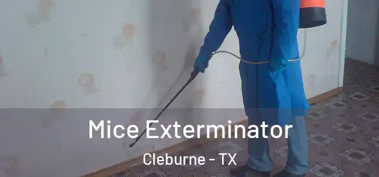 Mice Exterminator Cleburne - TX