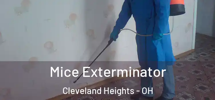  Mice Exterminator Cleveland Heights - OH