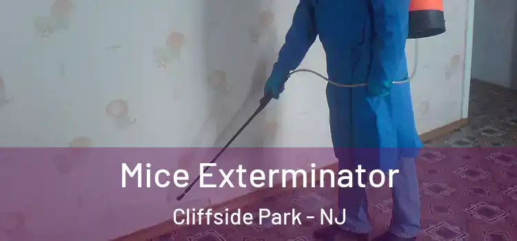  Mice Exterminator Cliffside Park - NJ