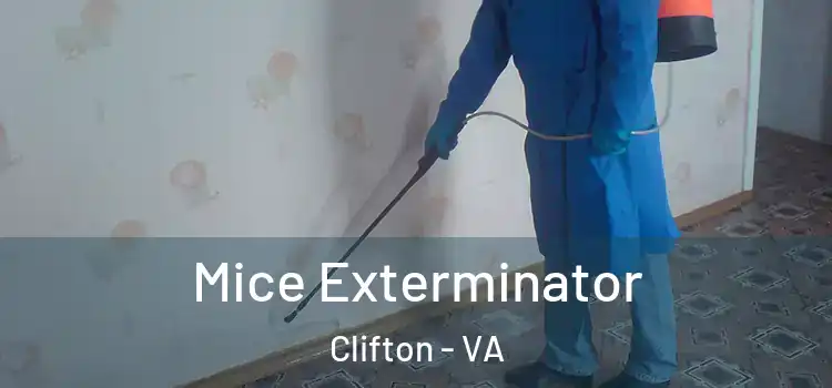  Mice Exterminator Clifton - VA