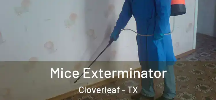 Mice Exterminator Cloverleaf - TX
