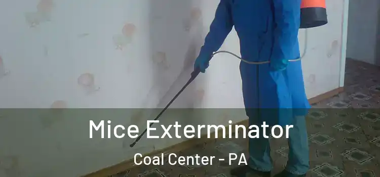 Mice Exterminator Coal Center - PA
