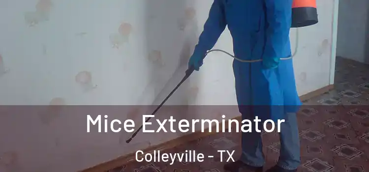  Mice Exterminator Colleyville - TX