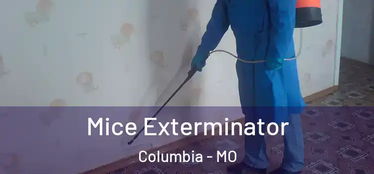 Mice Exterminator Columbia - MO
