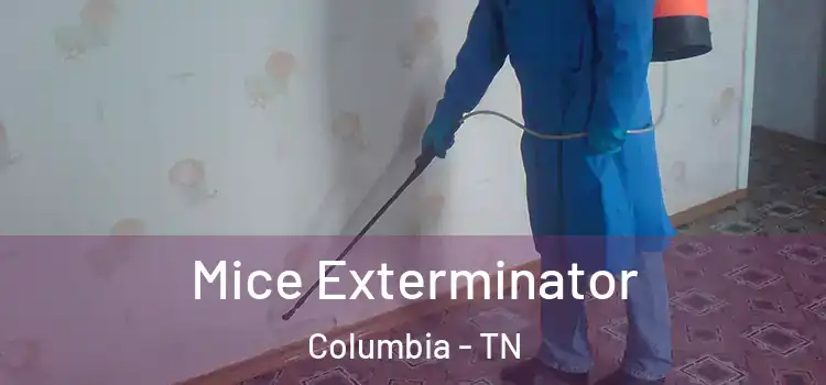 Mice Exterminator Columbia - TN