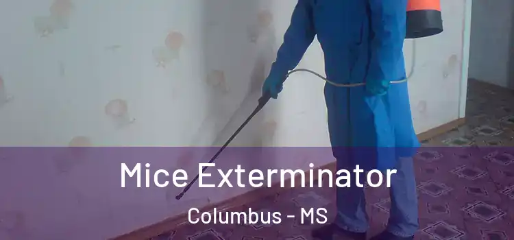 Mice Exterminator Columbus - MS