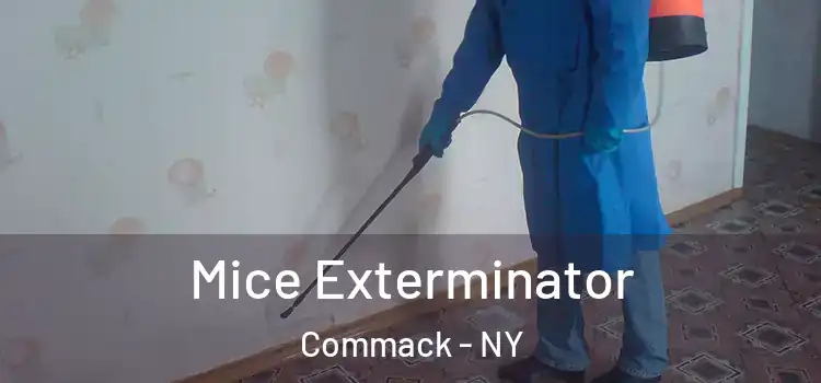 Mice Exterminator Commack - NY