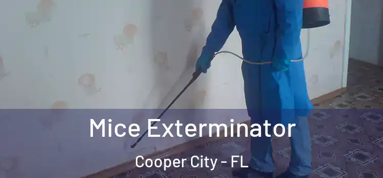 Mice Exterminator Cooper City - FL