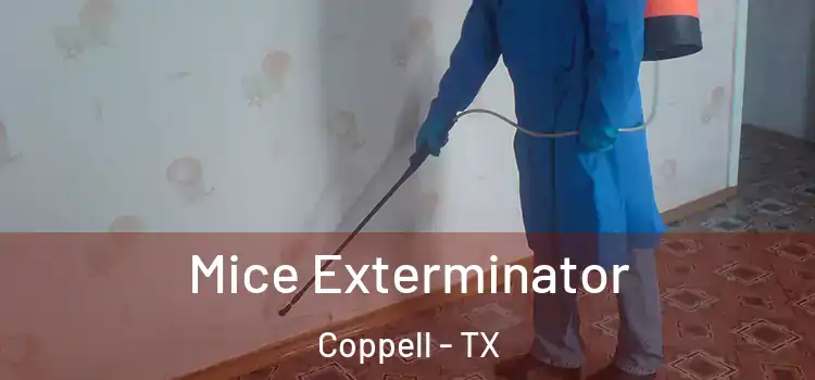  Mice Exterminator Coppell - TX