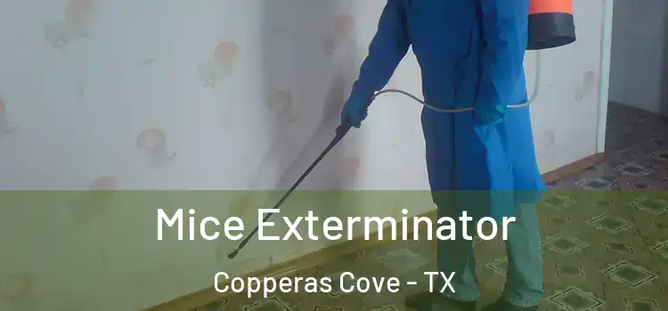  Mice Exterminator Copperas Cove - TX