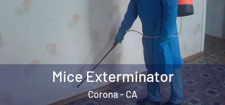  Mice Exterminator Corona - CA