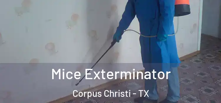  Mice Exterminator Corpus Christi - TX